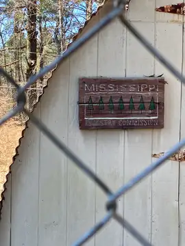 Photo of Webster Lookout Tower