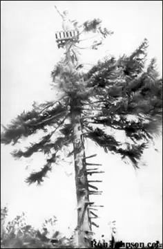 Photo of Mount Hagen Lookout Site