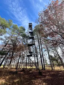 Photo of Lutts Lookout Tower