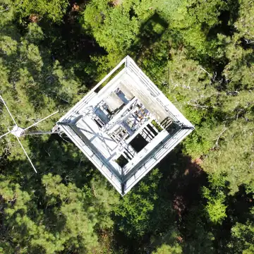 Photo of Wren Lookout Tower