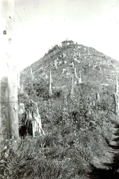 Gumboot Mountain Lookout 1944