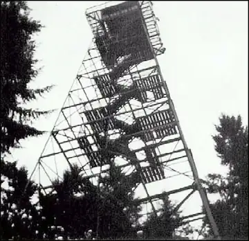 Photo of Rainier Lookout Site