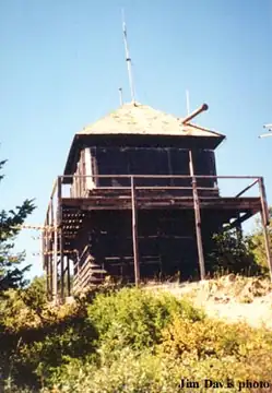 Apgar in 1998