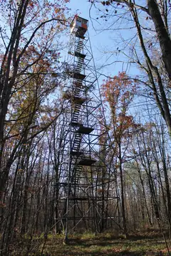 Photo of Pomroy Lookout Tower
