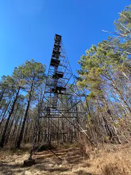 Photo of Woodland Lookout Tower