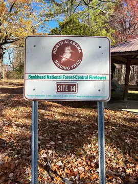 Photo of Central Lookout Tower