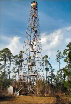 Photo of Blacksher Lookout Tower