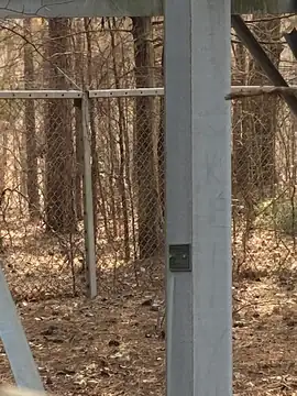Photo of Laconia Fire Tower