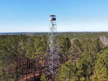 Photo of Woodland Lookout Tower