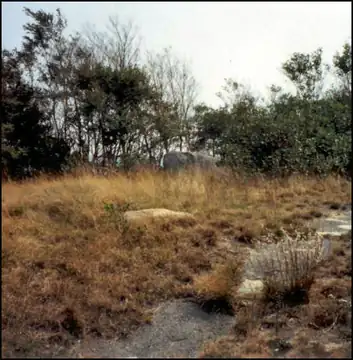 Photo of Barnstable Fire Tower