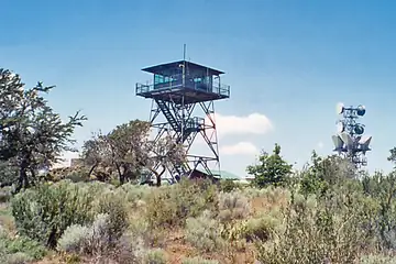 2006