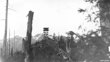 Jefferson Ridge Lookout 1961