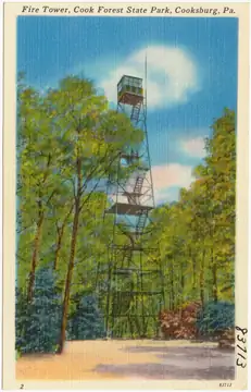 Photo of Fire Tower #9