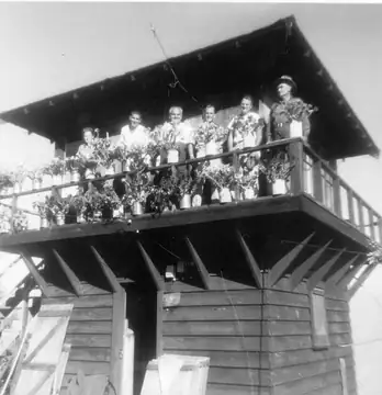 1959