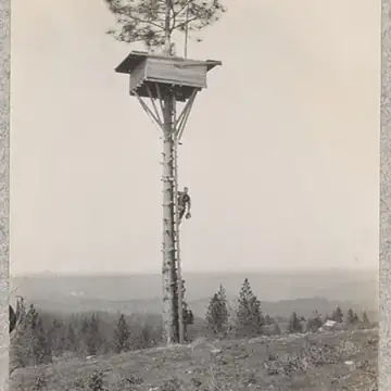 Photo of Mount Zion Lookout