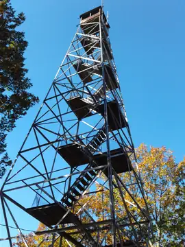 2016 photo