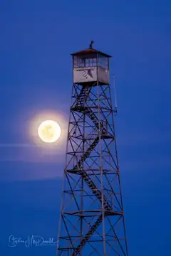 Sacramento National Wildlife Refuge (I-5) Lookout - 2018