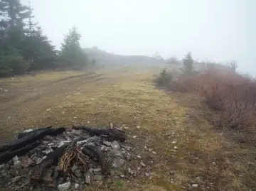 Newaukum Lookout site 2015