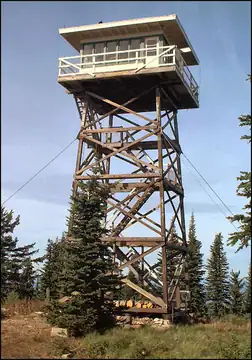 Photo of Gisborne Mountain Lookout