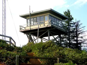 Bald Knob Lookout - 2008