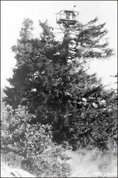 Crow's nest in 1916