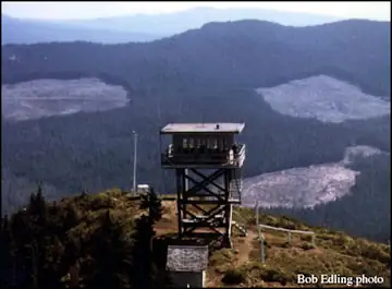 1964