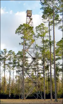 Photo of Carpenter Lookout Tower