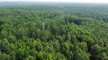 Photo of Providence Lookout Tower