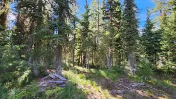 Divide Peak Lookout