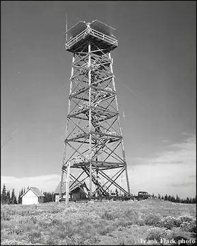 1956