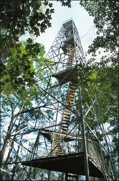Photo of Perry Lakes Birding Tower