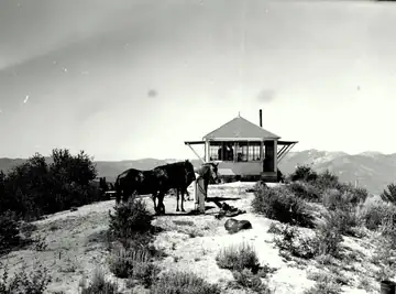 1955