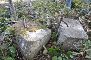 Humphrey Mountain Lookout site