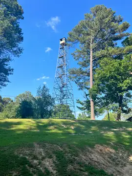 Photo of Phoenix Lookout Tower