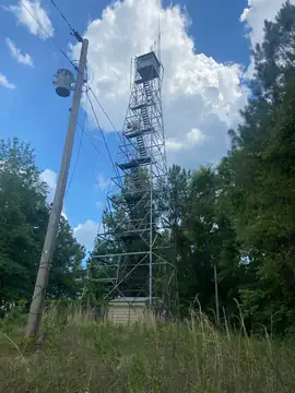Photo of Splunge Lookout Tower