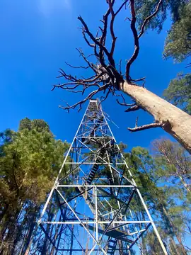 Photo of Reid Lookout Tower