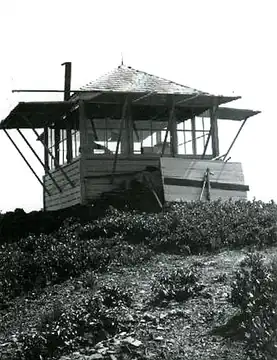 Three Trees Lookout 1944