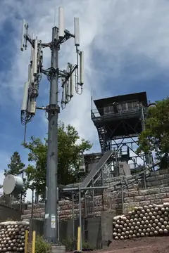 Photo of Volunteer Lookout