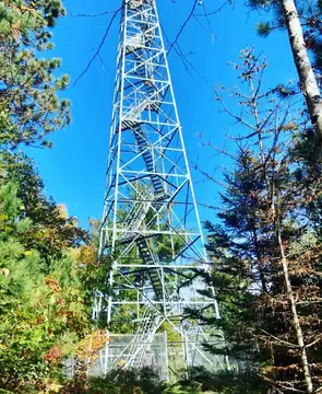 Photo of Gordon Lookout
