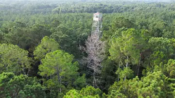 Photo of Midway Lookout Tower