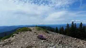 Chinidere Mountain Lookout site