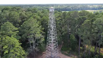 Photo of Bluff Lake Lookout Tower