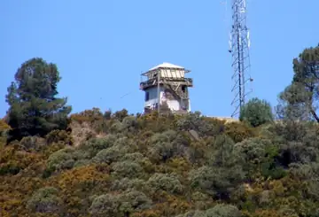 2010