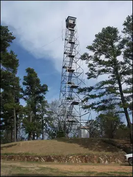 Photo of Jadie Tower