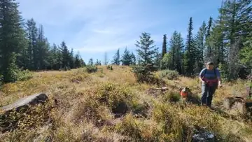 Butler (Blacktail) Mountain Lookout