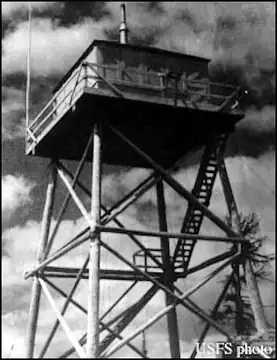 1965