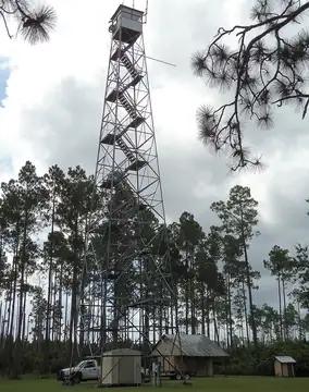 Photo of Eddy Fire Tower