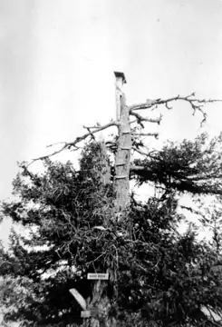 Hash Rock Lookout 1932 - 1935