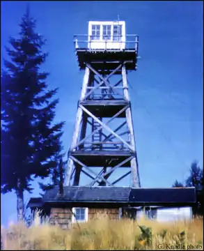 1931