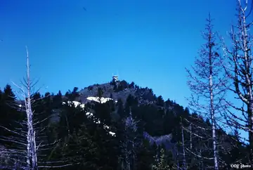 Aldrich Mtn. in 1983